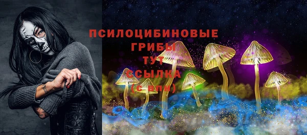 apvp Надым
